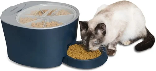 PetSafe 6 Meal Programmable Pet Food Dispenser