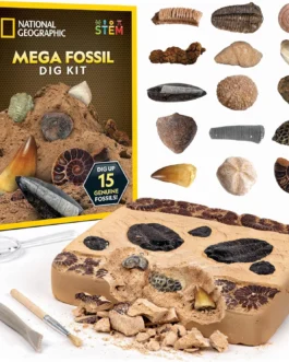 NATIONAL GEOGRAPHIC Mega Fossil Dig Kit